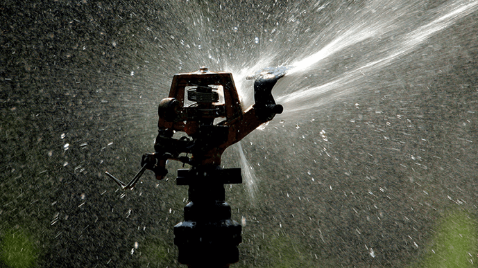 Irrigation Management Services. A sprinkler head.