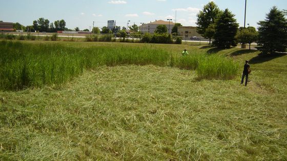 Commercial field mowing.