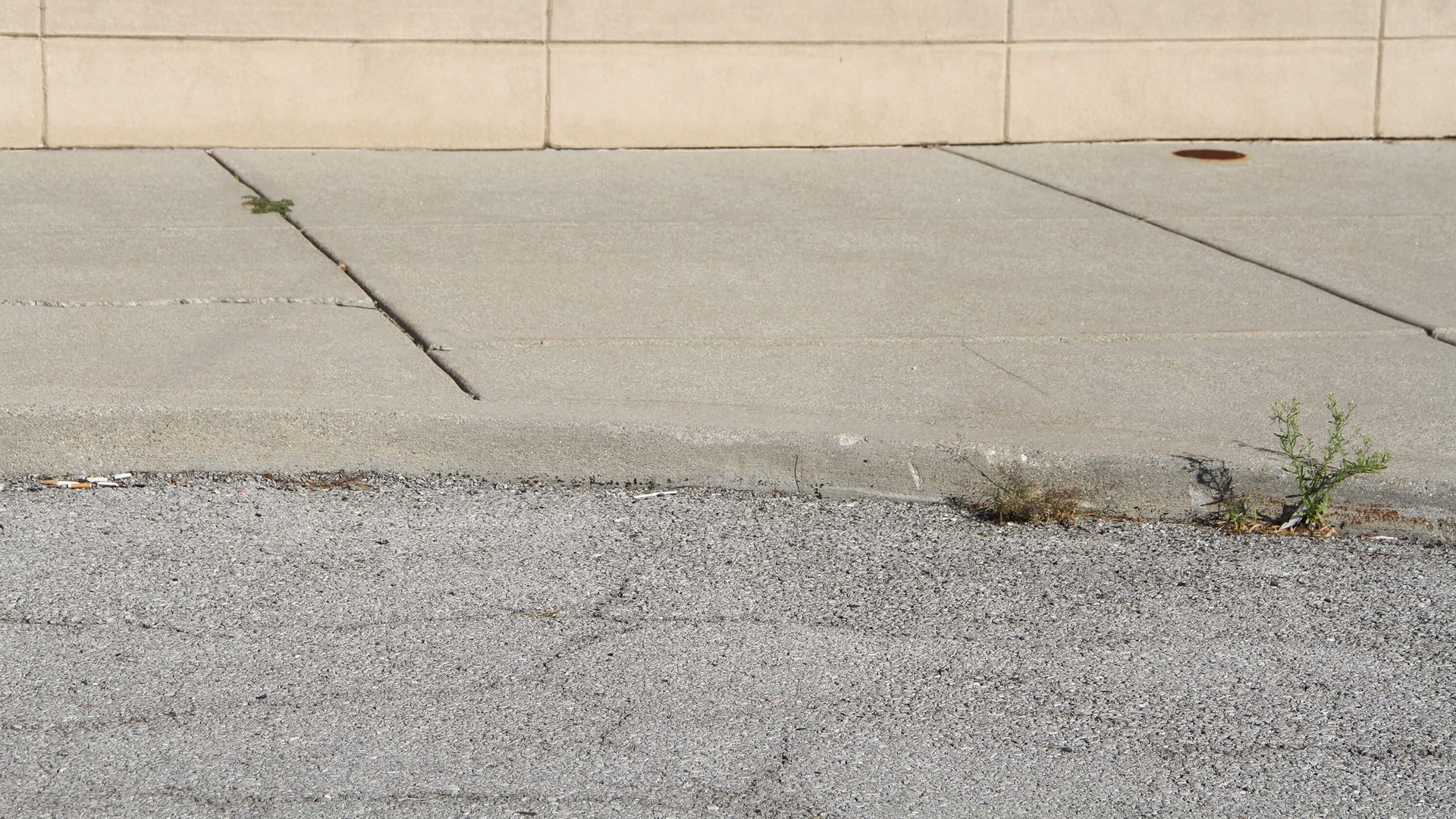 Weed Control Services. Grass growing along a curb.