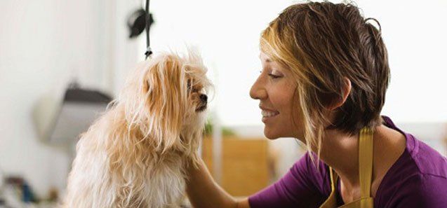 Groomer with a Dog — Drive, Dallas, TX — Smith Animal Clinic