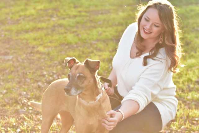 Grooming Salon — Drive, Dallas, TX — Smith Animal Clinic