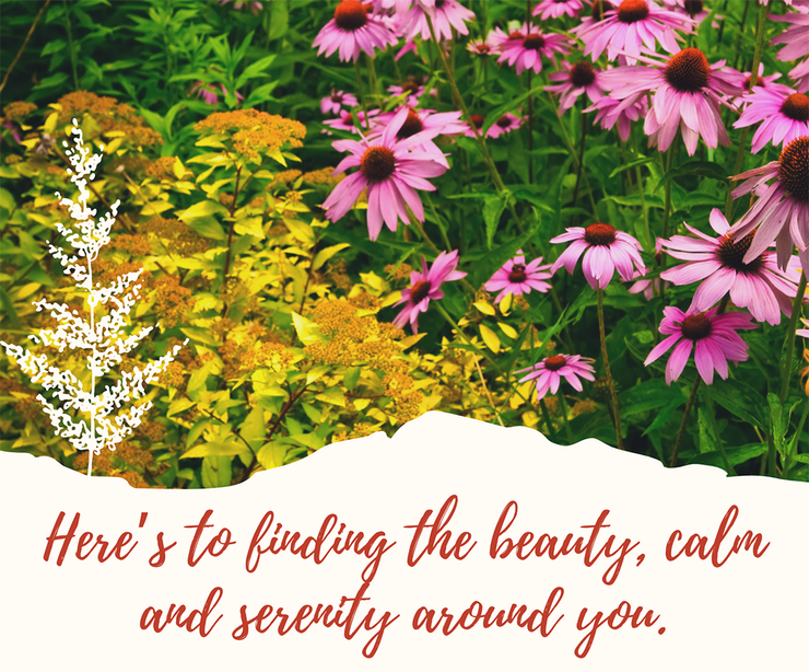 heres to finding beauty