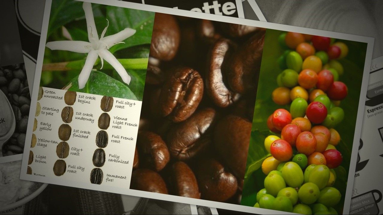 coffee types