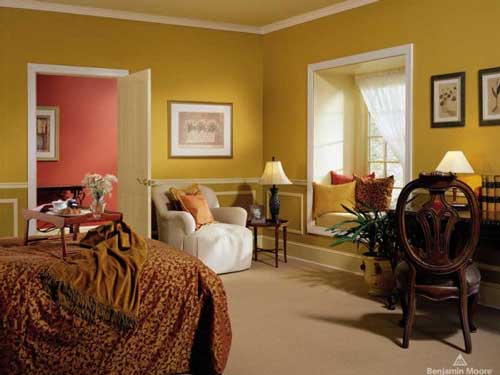 Orange wallpapers - Paint Supplies in Newburgh, NY