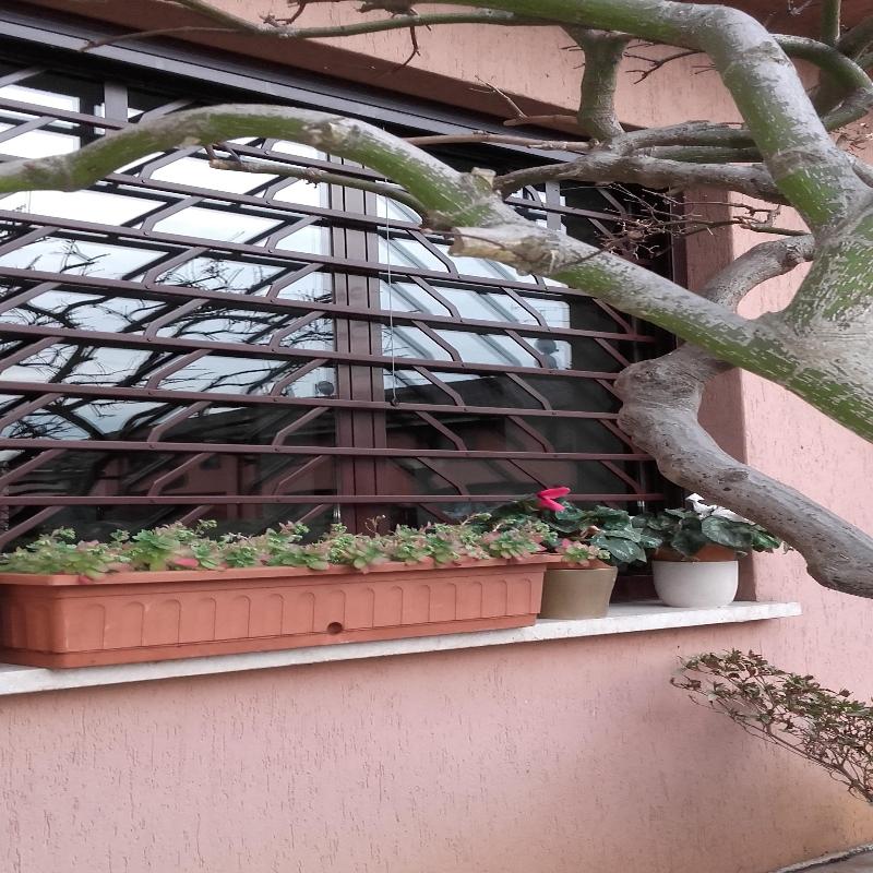 vista esterna di una casa con serramento in vetro e ferro e vase di fiori
