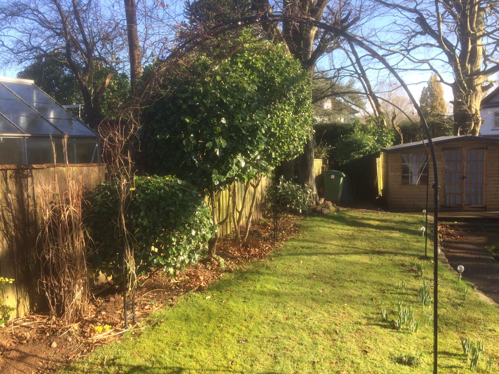 a garden