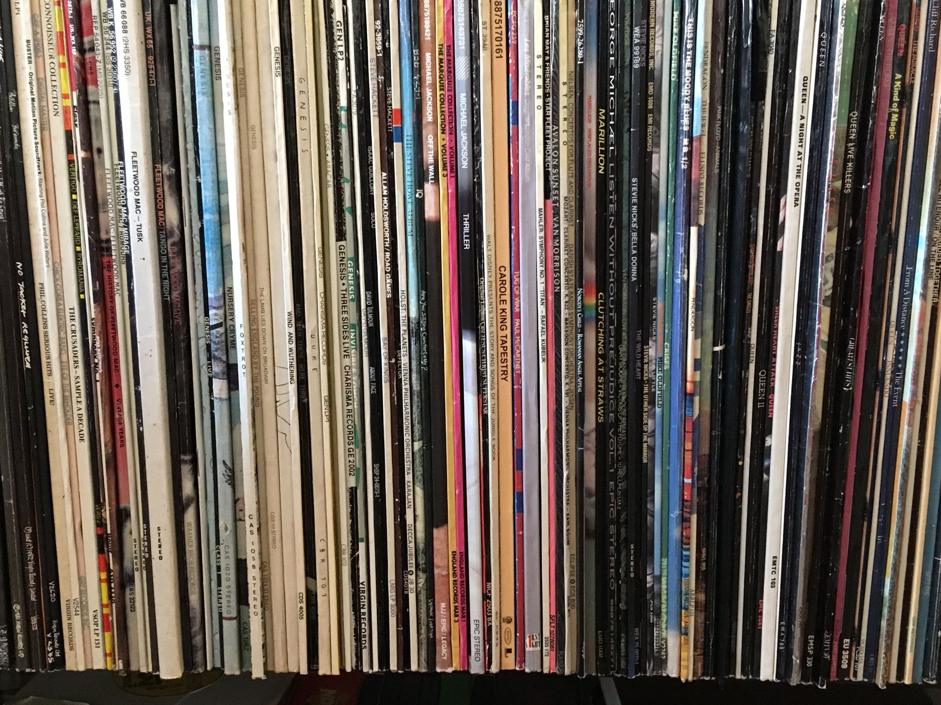 A dense, side-on view of a large collection of vinyl record albums neatly arranged in a row.