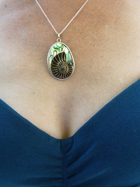 A silver pendant featuring a dark brown, spiral ammonite fossil set against iridescent green abalone shell.