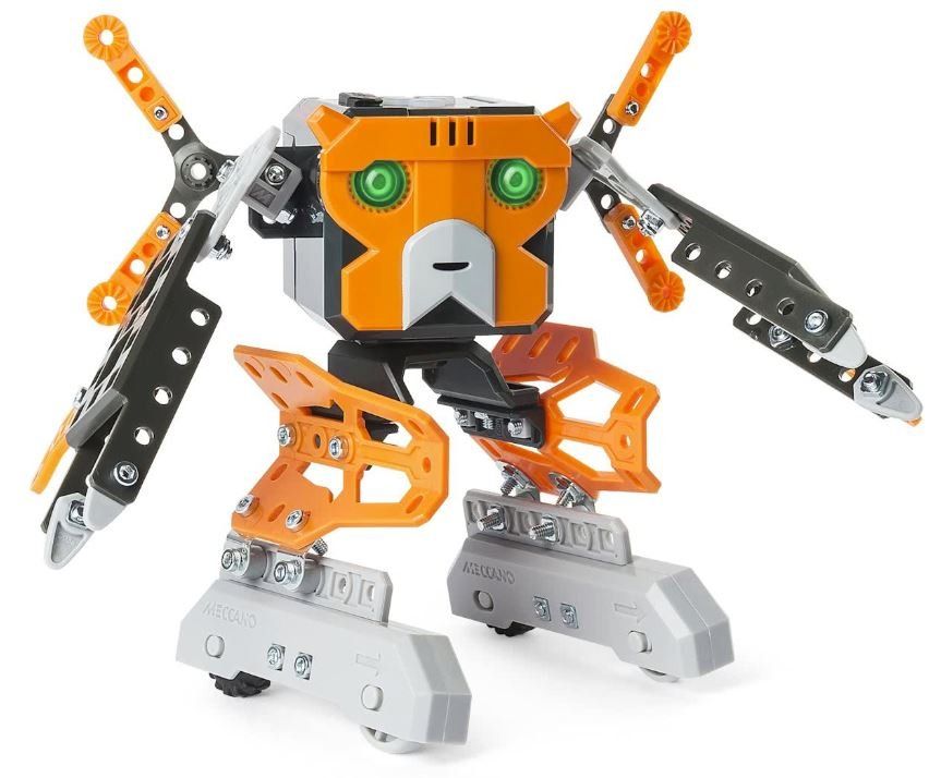 Robot