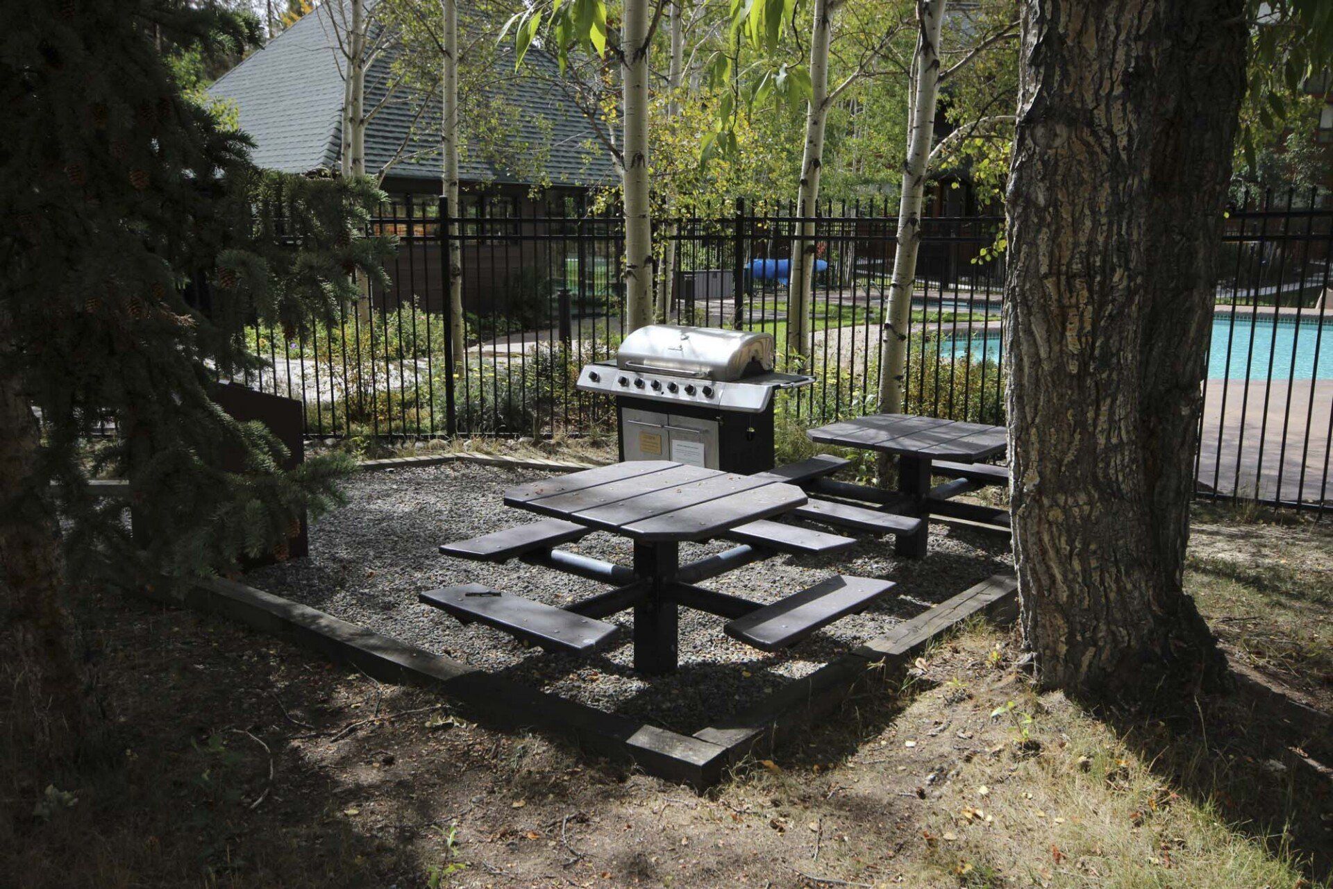 Soda Spring picnic table