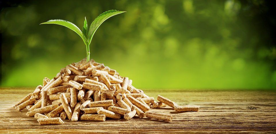 pellet per stufe