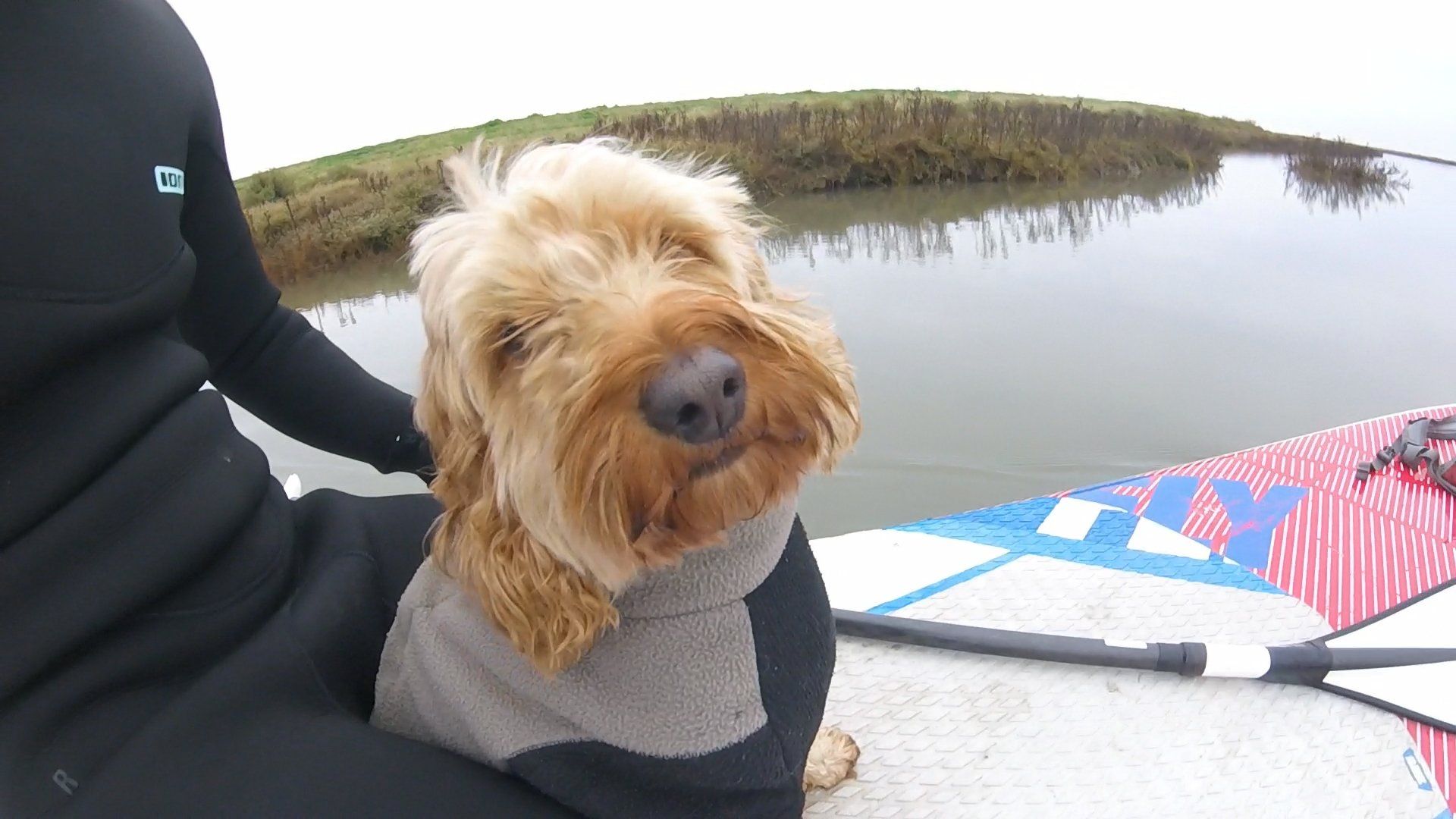 Paddle boarding Norfolk Coast with my dog