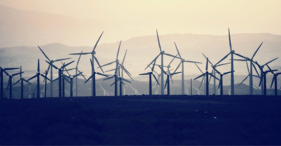 windmills