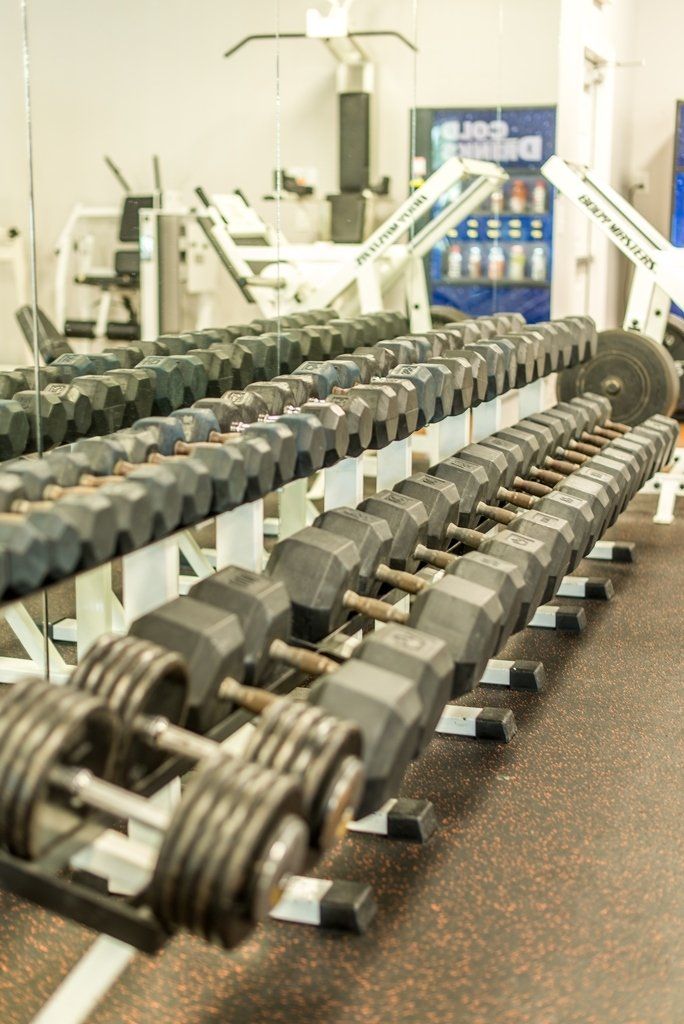 A row of dumbbells are lined up in a gym