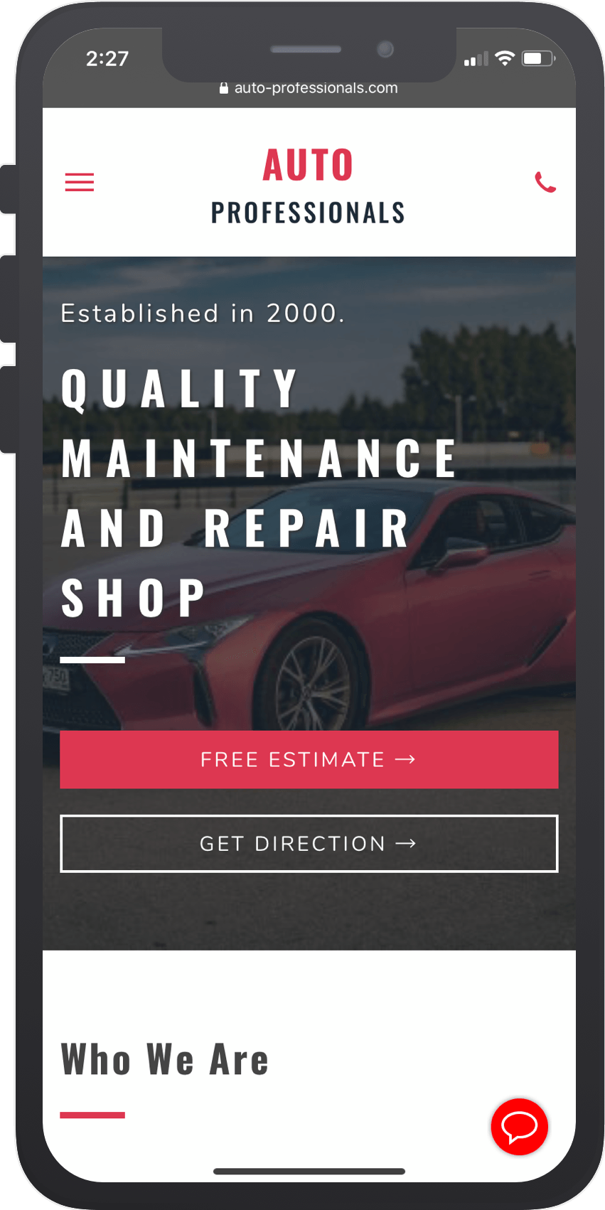 Auto professionals
