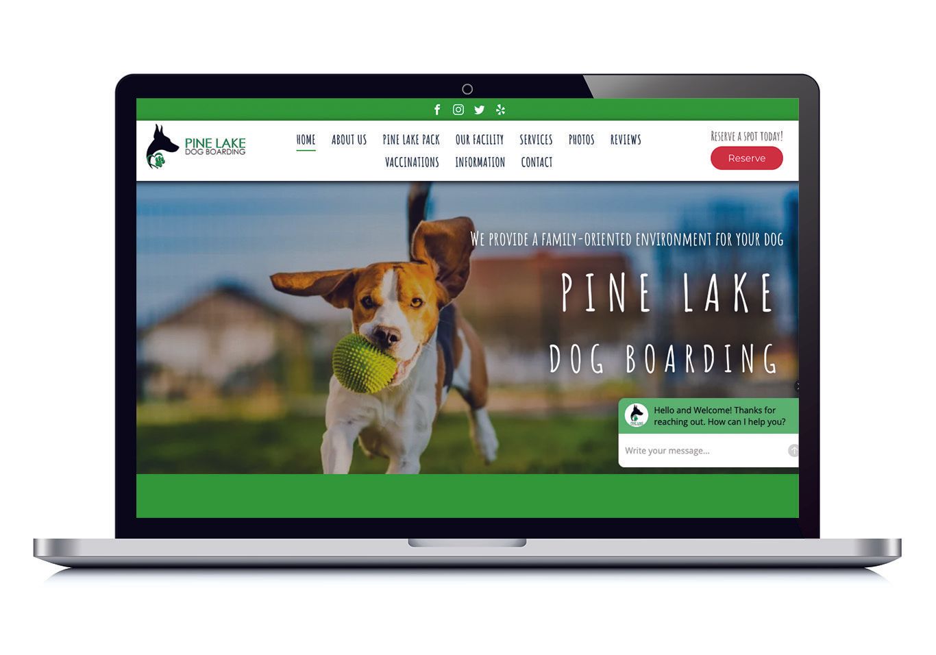 Pine lake dog boarding_desktop