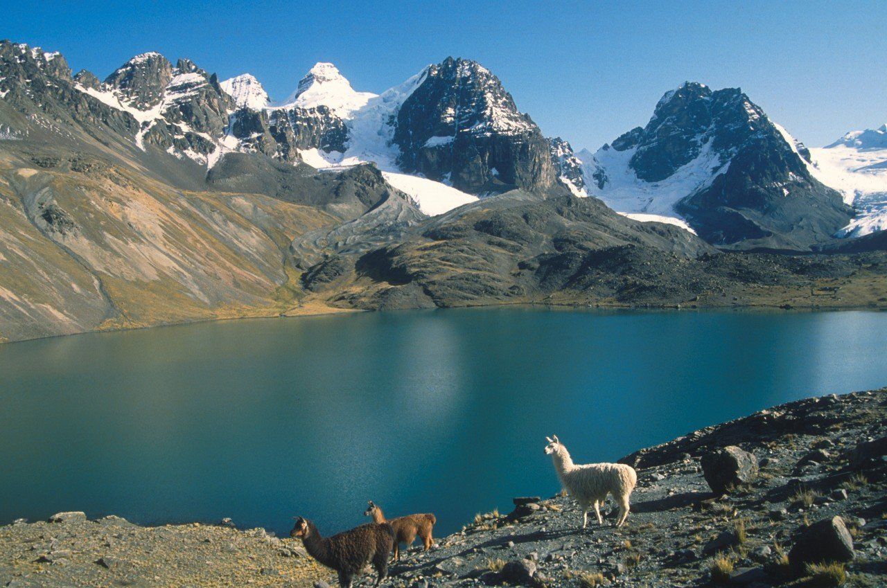 south american ranges
