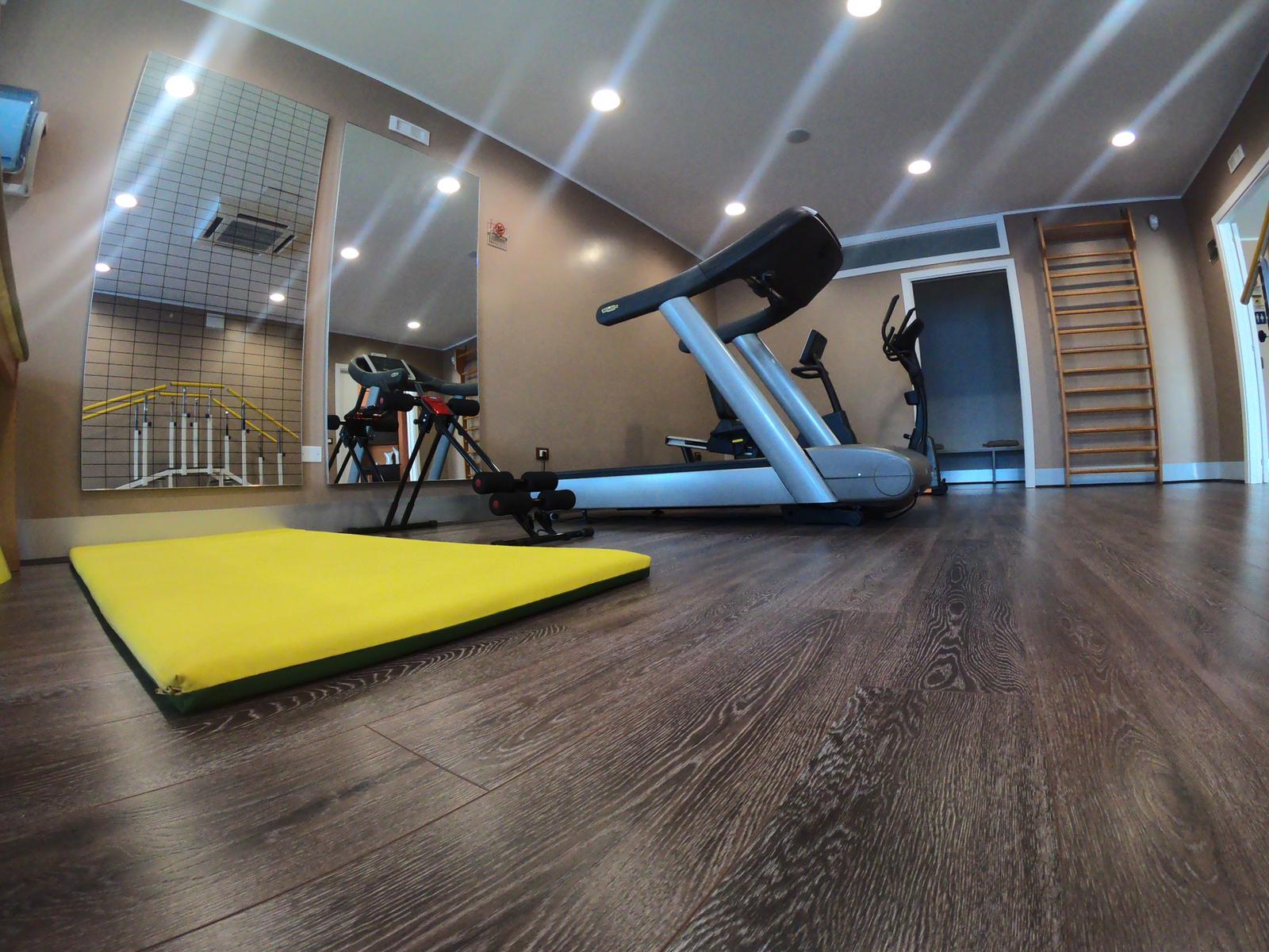 palestra