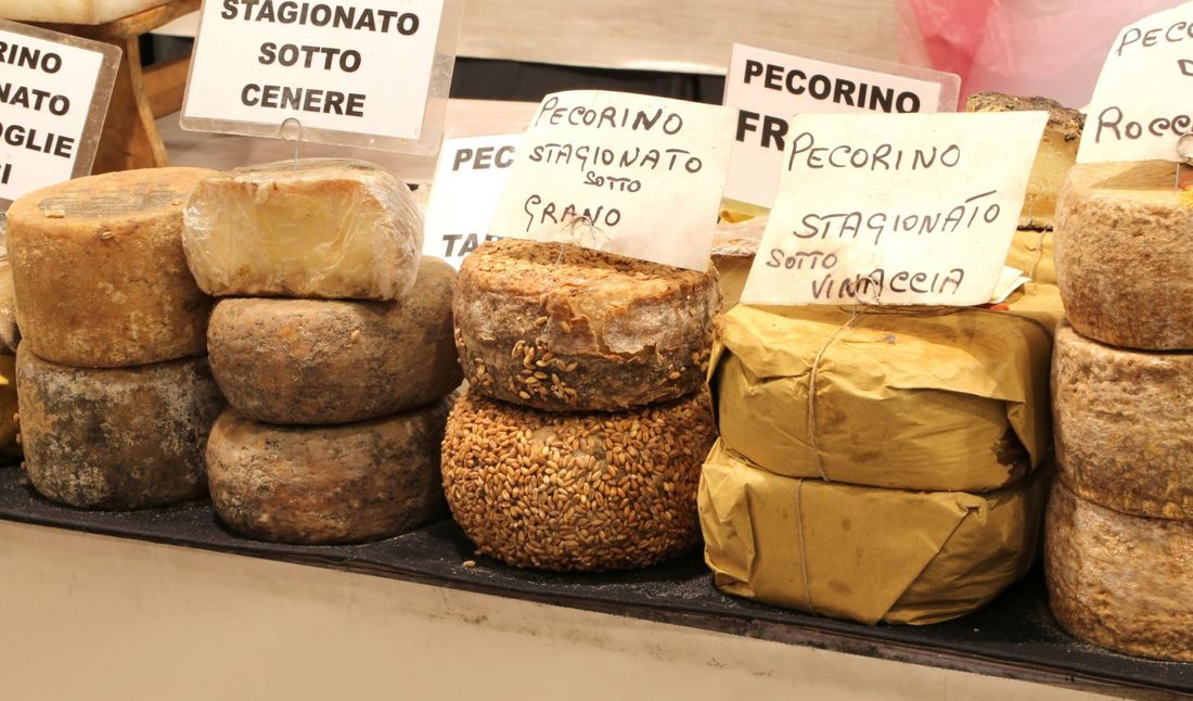 forme di pecorino stagionato
