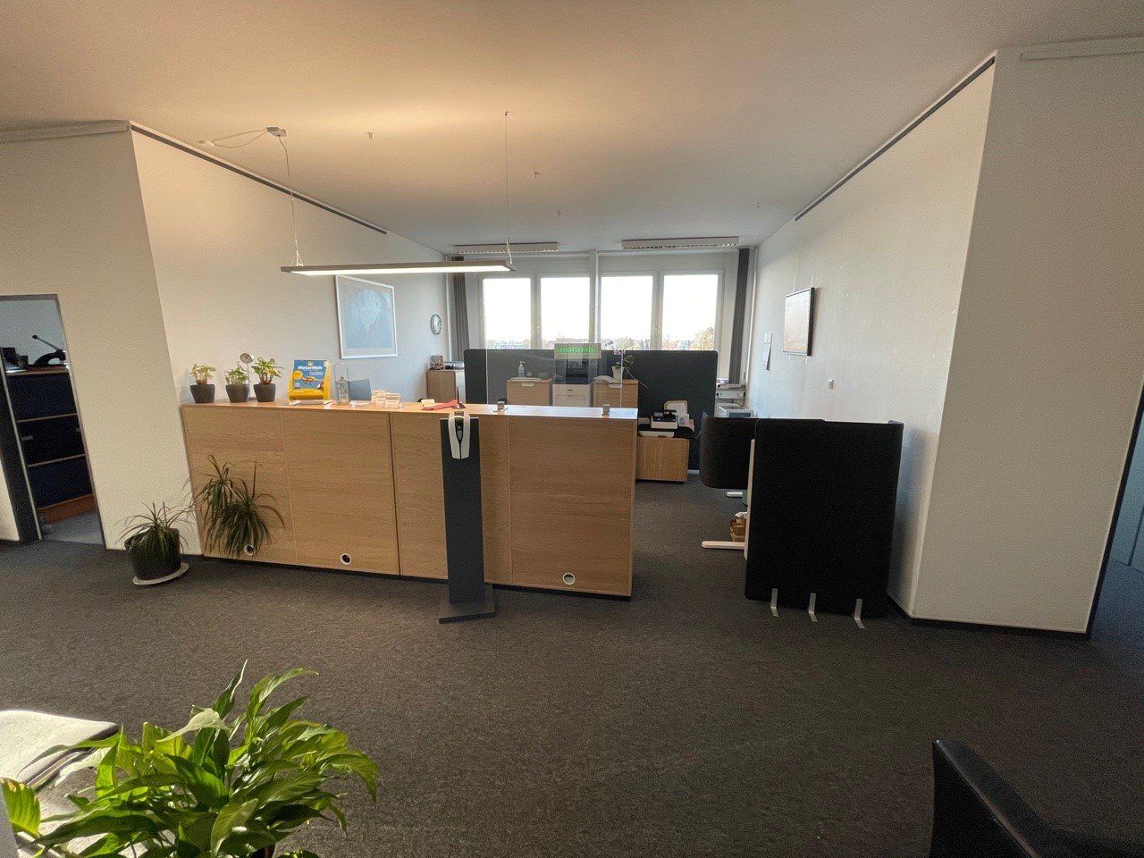 Geräumiges Büro mit braunem Teppich, großem Schreibtisch und Fenstern. Pflanzen und Kunstwerke schmücken den Raum.