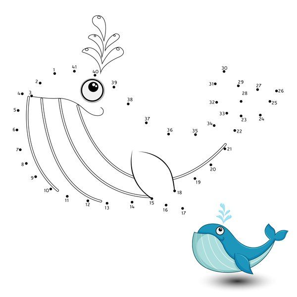 whale