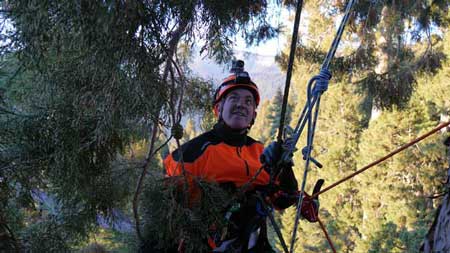 Sequoia Project