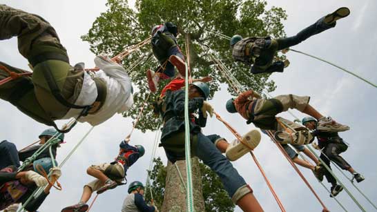 Tree Climbing