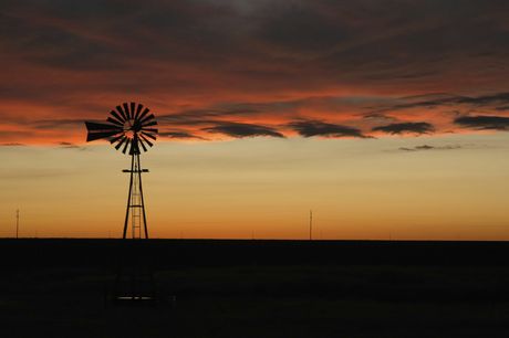 iStock_000003710177_Large