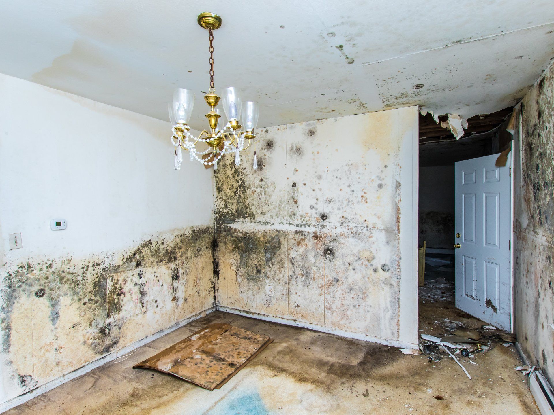 water damage restoration done by ARI in Arkansas