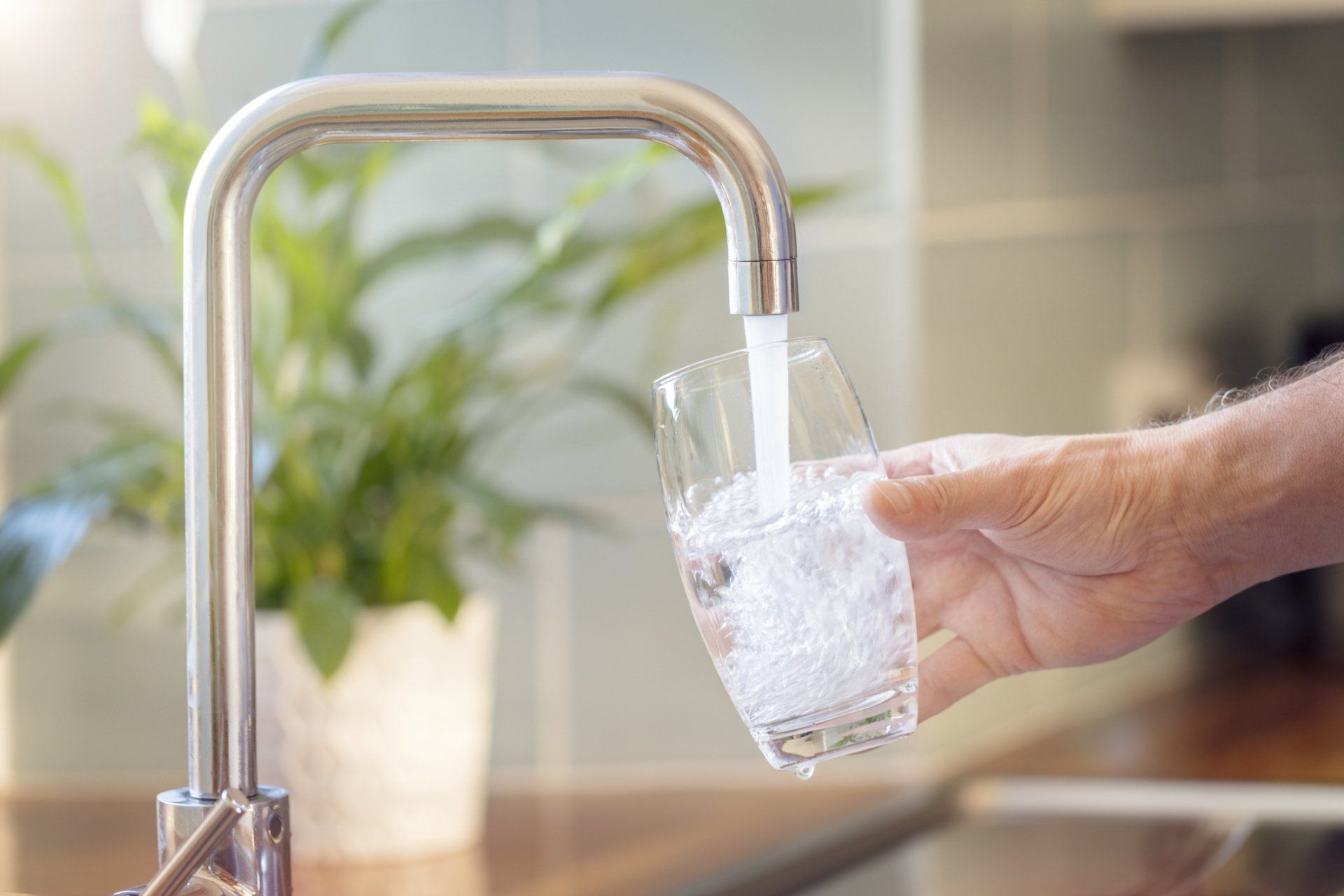 Water from Water Filtration System