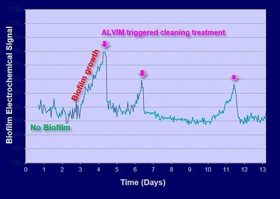 Alvim Biofilm Detection