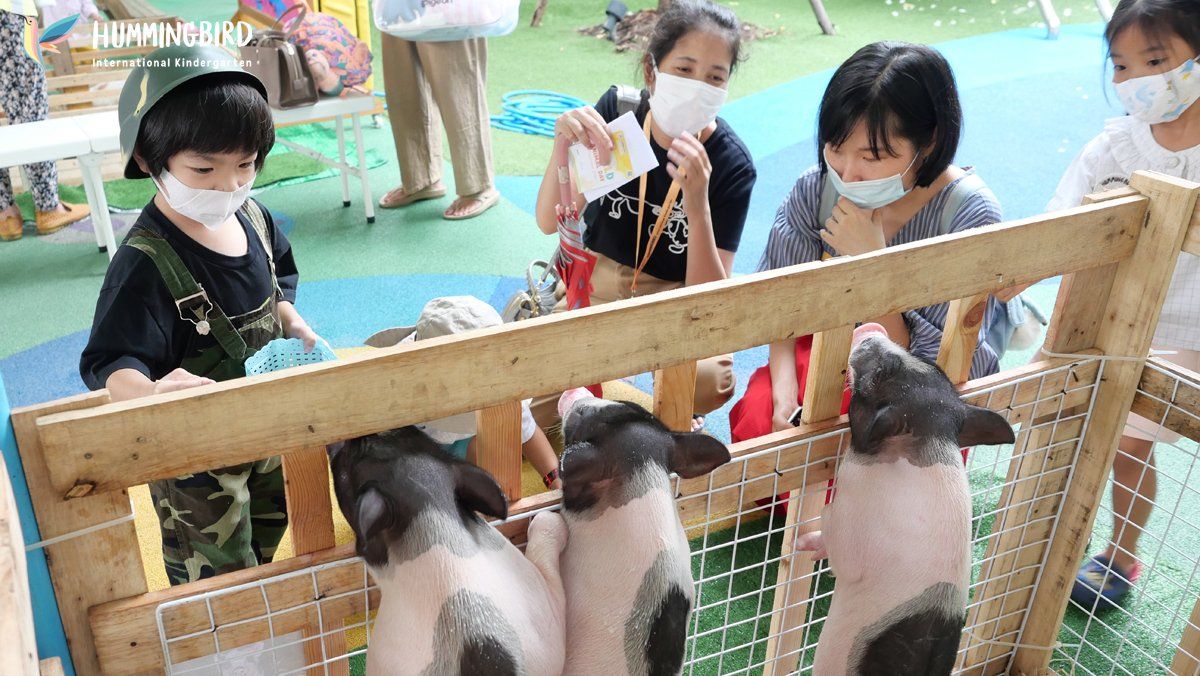 A group of children are standing around a fence looking at pigs.