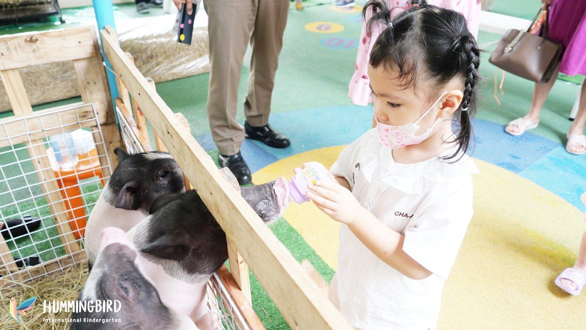 A little girl is feeding a pig from a bottle.