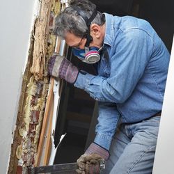 Dry rot removal