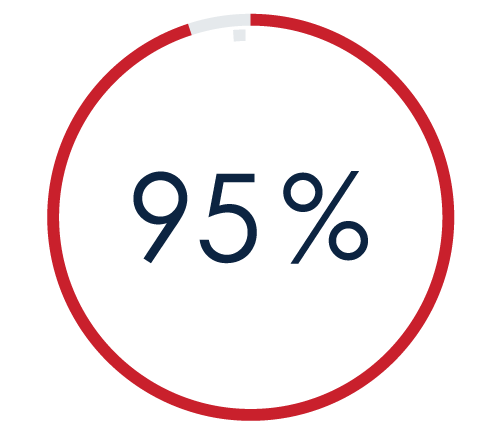 95% Image