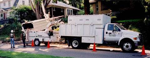 Worker cutting tree — Louisville, KY — Dave's Tree Surgeons
