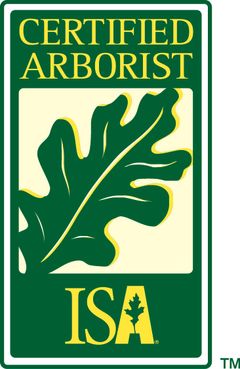 Certified Arborist ISA