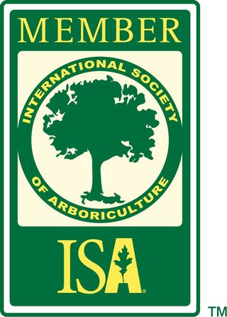 Member ISA