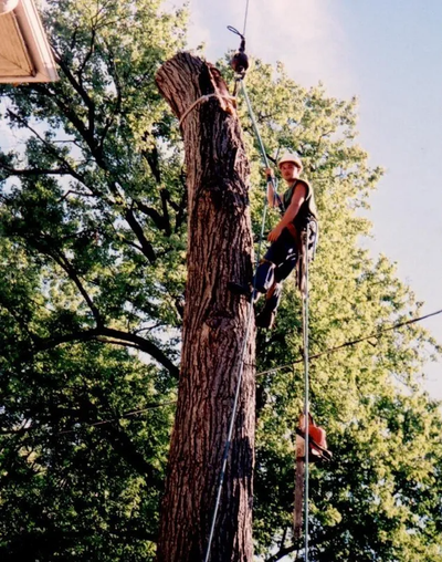 Colorful countryside residential street — Louisville, KY — Dave's Tree Surgeons Colorful countryside residential street — Louisville, KY — Dave's Tree Surgeons