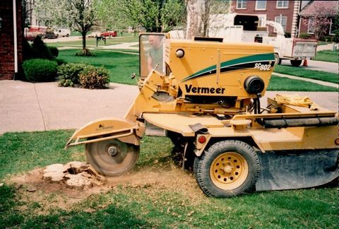 Stump grinding — Louisville, KY — Dave's Tree Surgeons