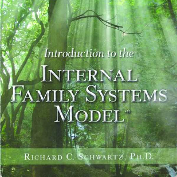 Introduction to IFS therapy
