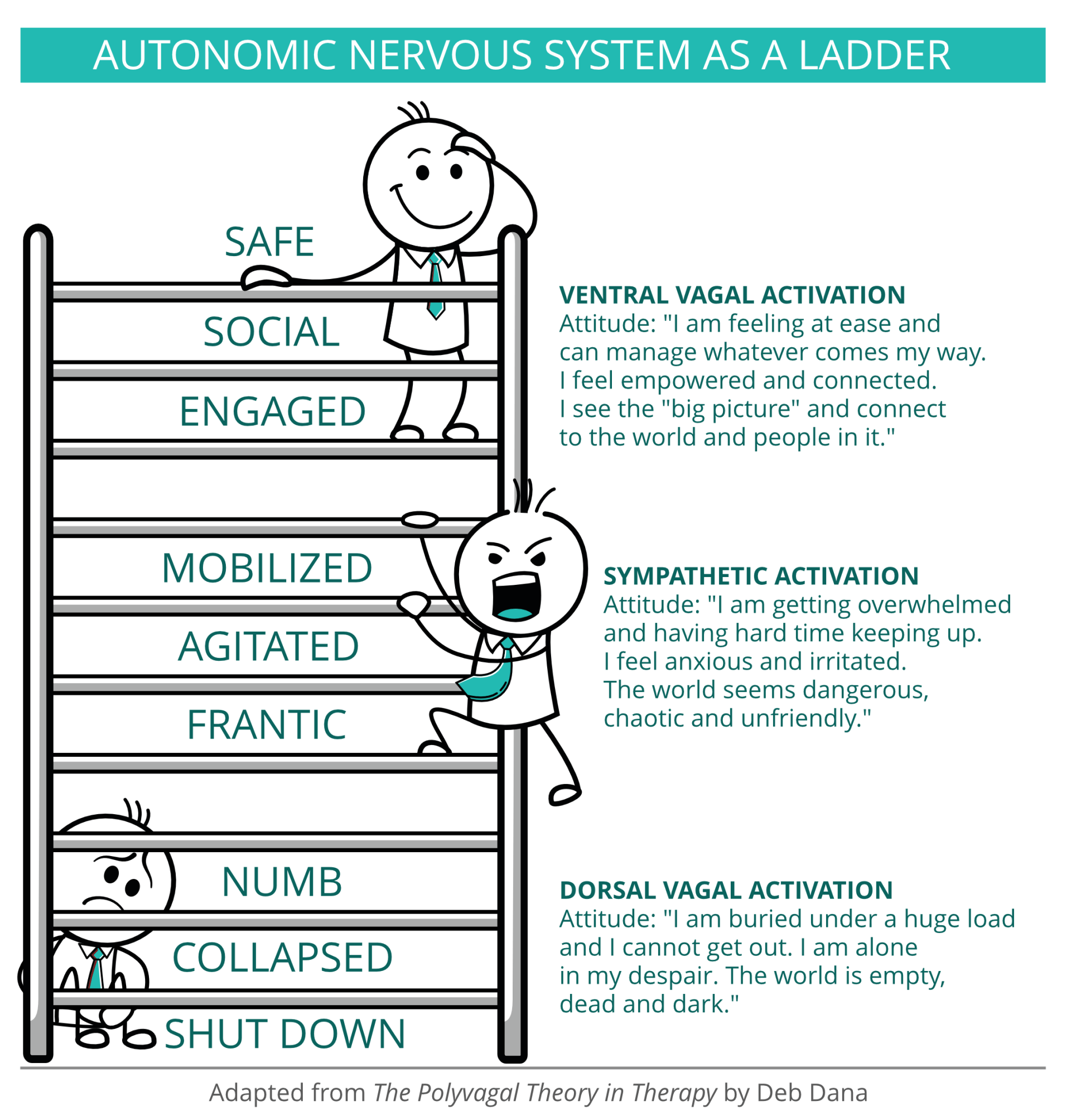 polyvagal+ladder