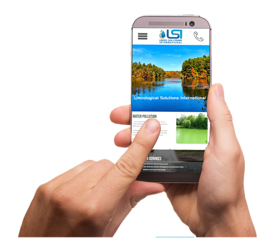 A person is holding a cell phone with a website on it