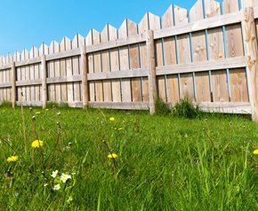 Landscape gardening - Aberdeen, Aberdeen shire - Aberdeen Grasscutters - Fencing Fencing