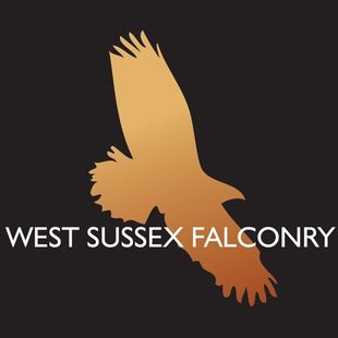 West Sussex Falconry