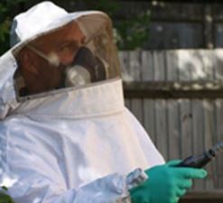 insect control