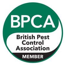 BPCA MEMBER