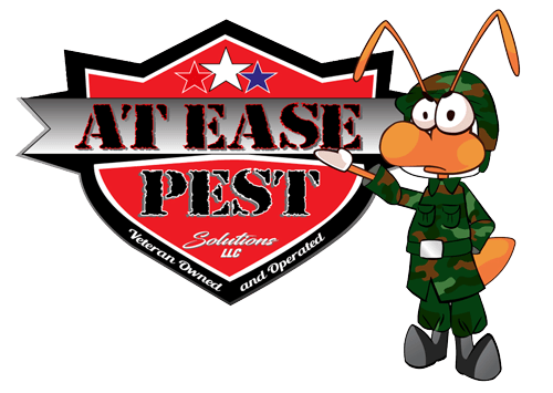 Termite-Elimination