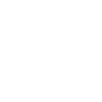 building survey