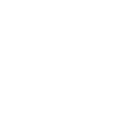 criminal law with gun graphic